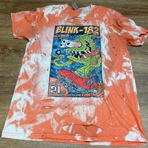 Awesome Vintage concert Blink-182 graphic tee